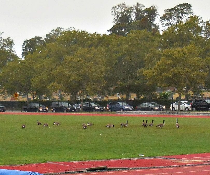 Undocumented aliens undermine Quincy Presidents football opener?