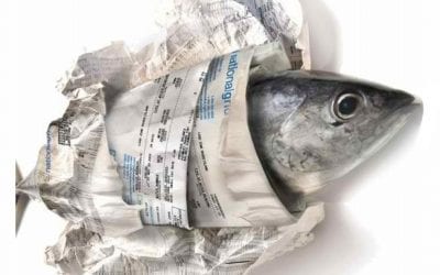 Quincy Quarry Weekly Fish Wrap: Summer ending but things are heating up