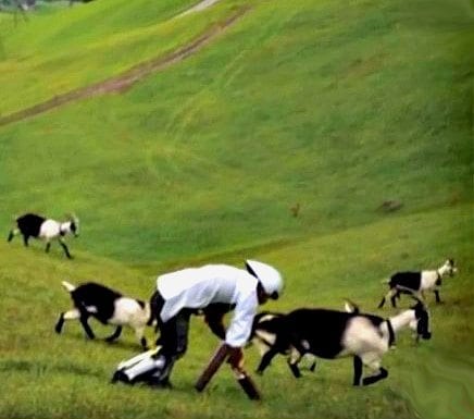 Goat Man wins Ig Nobel Prize for Biology
