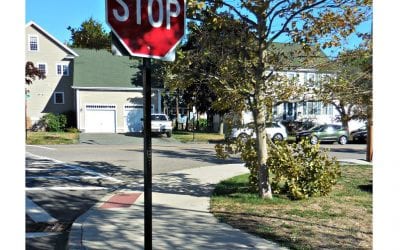 Quincy Quarry sees partial results following its broken tree limb series of exposés