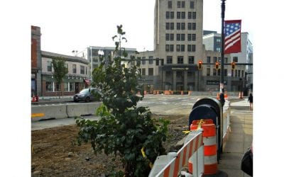 Quincy Center Chainsaw attack survivor survives – for now