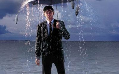 Quincy Quarry Weekly Fish Wrap: The Quiet Before The Storm