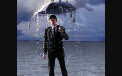 Quincy Quarry Weekly Fish Wrap: It has been a cats and dogs kinda week.