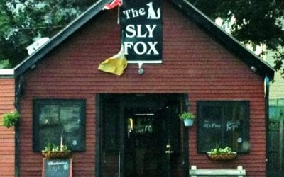 Quincy Watering Hole Surrounded by Water from Water Main Break