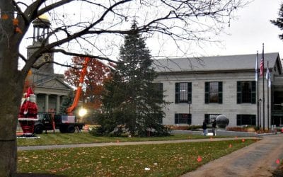 Quincy Center sodding continues on Thanksgiving Day