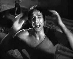 Porn Website Plans to Plow Snow in Boston for Free