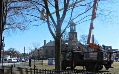 Quincy finally takes down Christmas lights