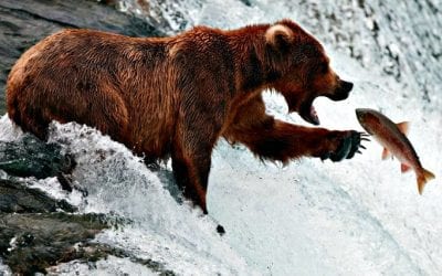 Quincy Quarry Weekly Fishwrap: redaction, embarrassing video at least temporarily enjoined – whatever…