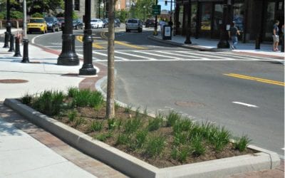 Quincy Quarry Exposé Causes Clean Up?