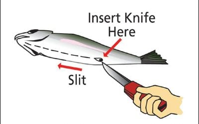 Special Prosecutor Robert Mueller’s report summary released