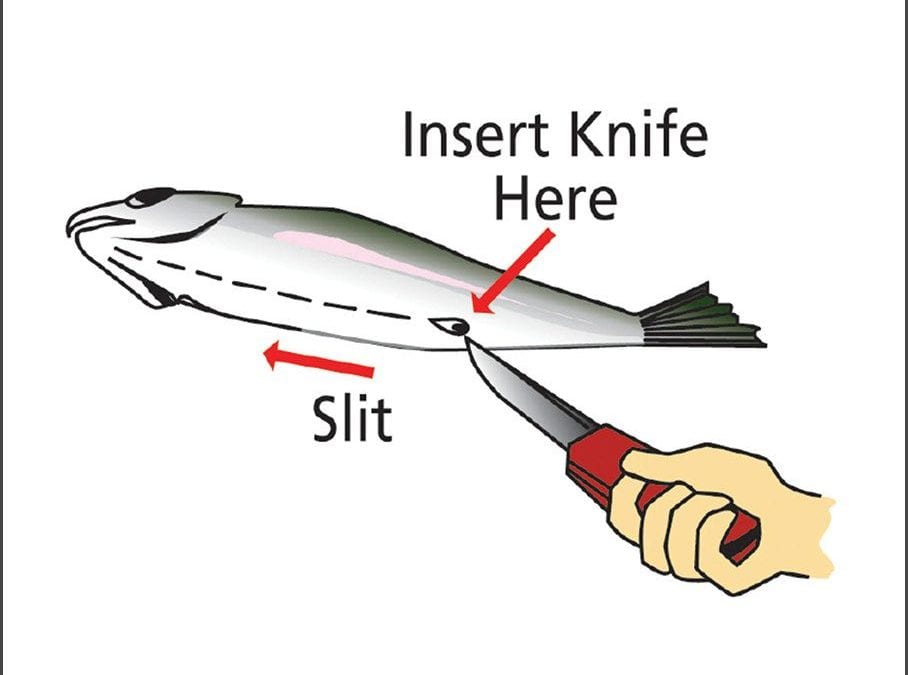 Quincy Quarry Weekly Fish Wrap: Post Elections Pistols at Dawn?