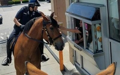 Dunkin’ Donuts now provides ride up window service for mounted police!