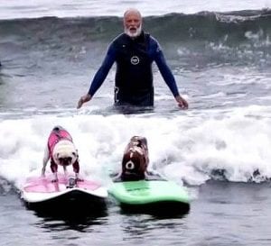 surf-dogs-1125-pbs | Quincy News About Quincy Massachusetts