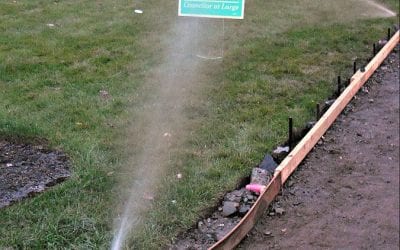 Quincy Suffering Massive Campaign Sign Trafficking Uptick