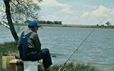 Quincy Quarry Weekly Fish Wrap: Play Ball!