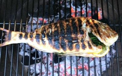 Quincy Quarry Weekly Fish Wrap: A blazing inferno warms up the Q!