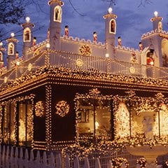 Mountain Lions, Jaguars, Snow Leopards, Wolves and Bears Oh My!