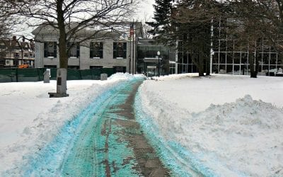 Quincy City Hall found to be thoroughly plowed after bombogensis blizzard