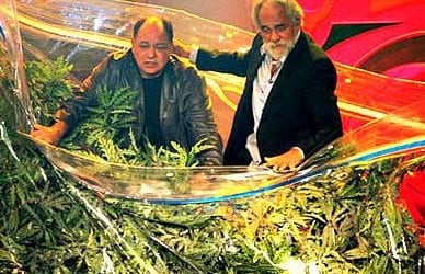 Police warn 420 celebrators to stay off the roads