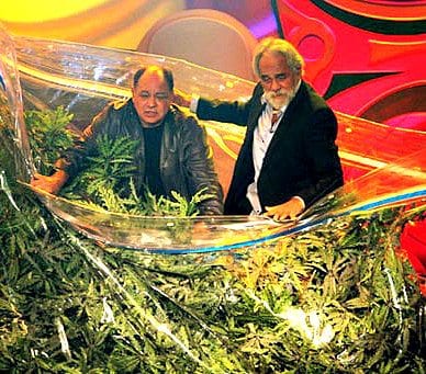 Marijuana lobby has lit up Massachusetts lawmakers with campaign donations