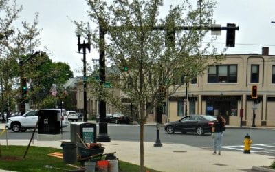 Quincy Center motor vehicle accident damaged tree replaced