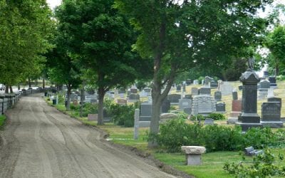 Quincy chainsaw massacre desecrates graves and trees