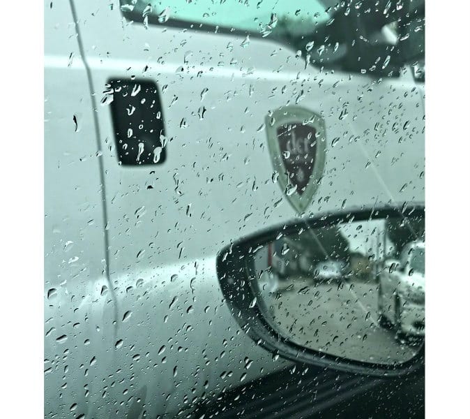 Department of Conservation and Recreation plants tree in a private yard?