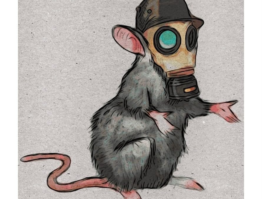 Promising tool in keeping down Boston’s rat population gets The Cold Shoulder