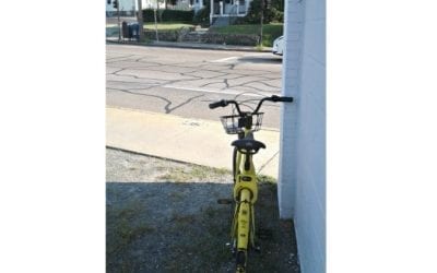 ofo bike continues to be in Quincy