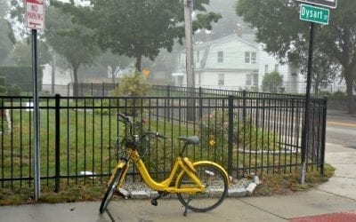 ofo still no go from the Q