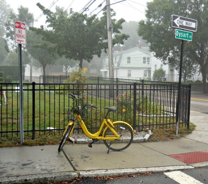 ofo still no go from the Q