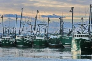 codfathers-boats | Quincy News About Quincy Massachusetts