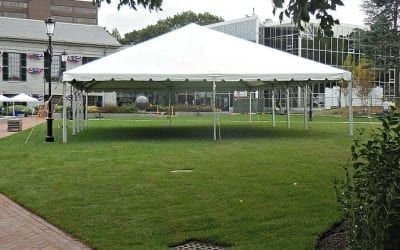 Quincy City Hall’s new sod to get sodded?