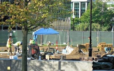 Quincy City Hall Sodded on a long holiday weekend Saturday