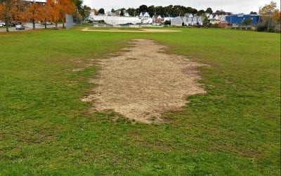 Quincy City Hall as well as taxpayers yet again sodded