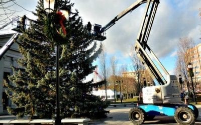 Quincy’s Two City Halls have two Christmas Trees this year