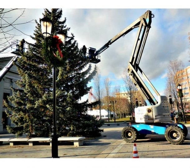 Quincy News Local Goat Farmers are accepting Christmas Trees for their