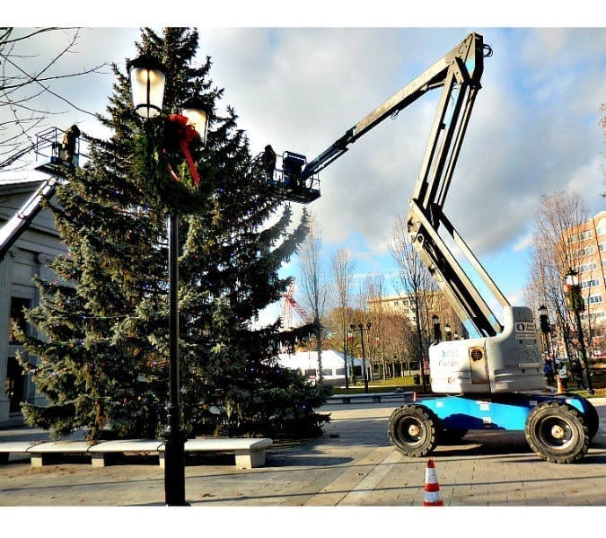 Quincy's Two City Halls have two Christmas Trees this year