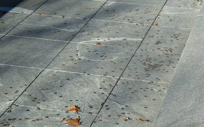 Quincy hit by record Arctic cold on Thanksgiving Day