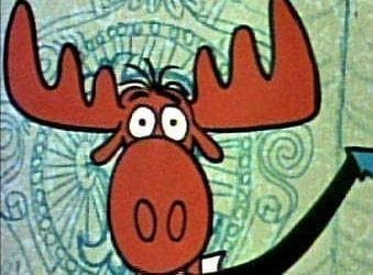 Stop us if you have heard this one: A moose walks into a hospital…