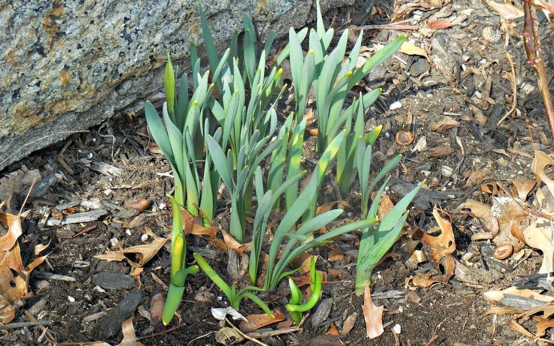 Spring has sprung!