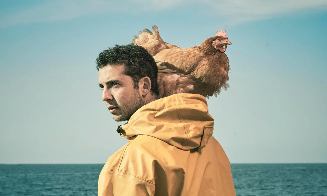 chicken-around-the-world-Phil-Fisk-The-Observer
