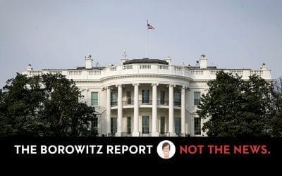 Replacement for White House Press Secretary Sarah Sanders disqualified for telling truth on job application