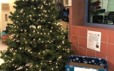 Christmas Shopping? If so, please consider donating a toy to inaugural Mighty Quinn Toy Drive for Boston Children’s Hospital!