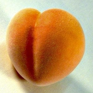 Peach 2 | Quincy News About Quincy Massachusetts | Quincy Ma | quincy news