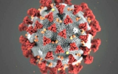 Quincy COVID-19 Infection rates continue to climb