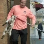Wayward goat removed from package store in Worcester AR-200419797
