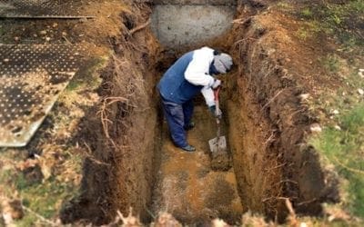 Boston cemeteries see large increase in burials given the COVID-19 pandemic