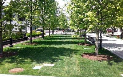 The City of Quincy yet again sods Quincy Square