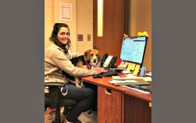 Preparing furry family members for family breadwinners returning to the workplace